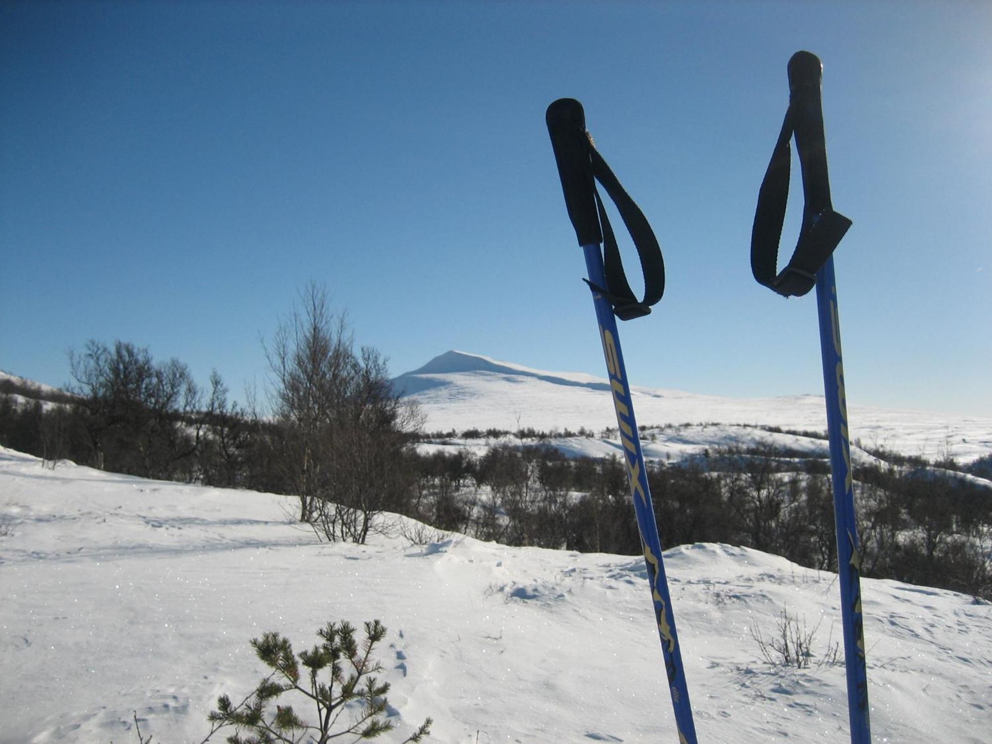 Hovringen Fjellstue Hotel Kültér fotó